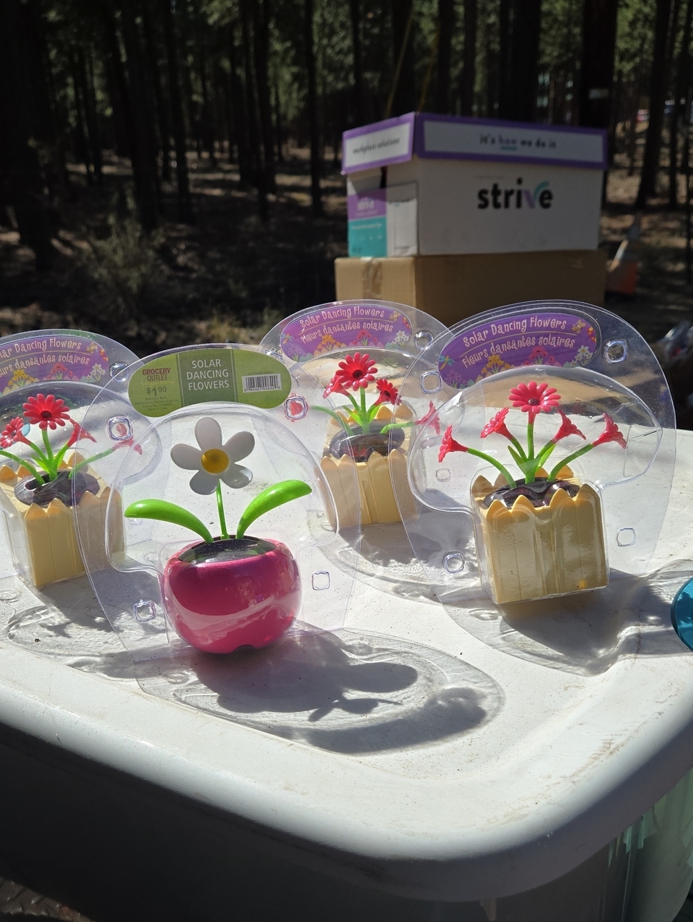 Solar Dancing Flower - Pink and Yellow Pot All 4 Of Them